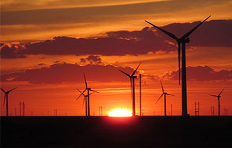 國電大武口熱電電機絕緣測試儀等的采購